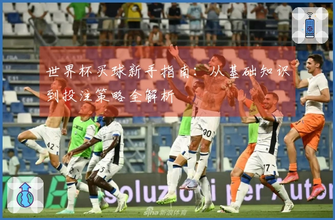 世界杯买球新手指南：从基础知识到投注策略全解析