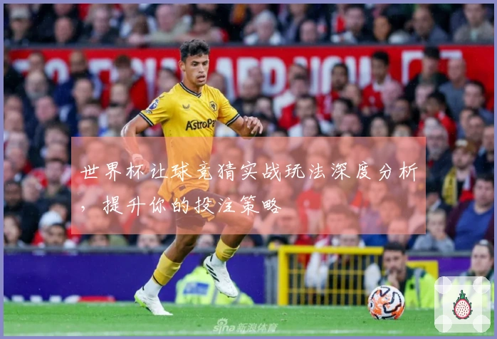 世界杯让球竞猜实战玩法深度分析，提升你的投注策略