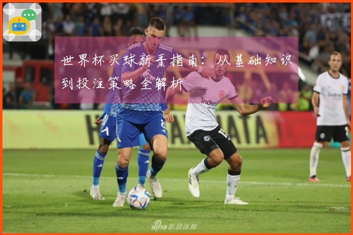 世界杯买球新手指南：从基础知识到投注策略全解析