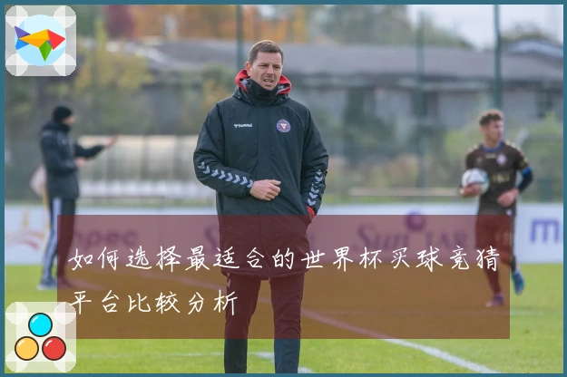 如何选择最适合的世界杯买球竞猜平台比较分析